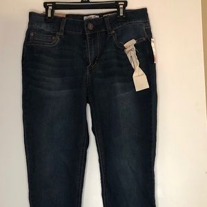Indigo Rein Jeans